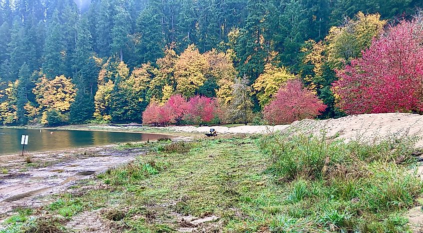The Loon Lake Recreation Area in Loon Lake, Washington.