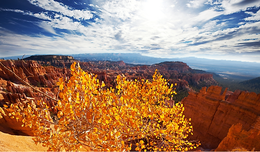 Bryce Canyon, Utah in fall season