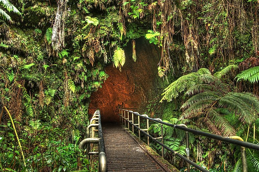 Entrance of the Thurston Lava Tube in Hawaii Volcano National Park
