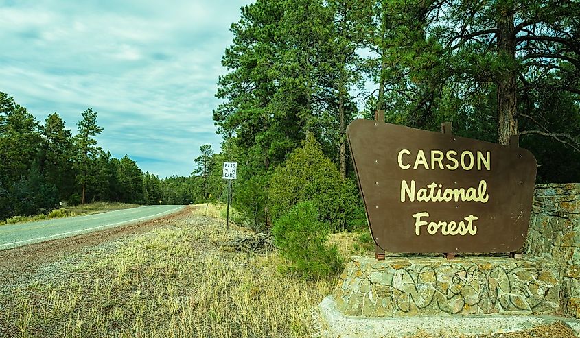 Carson National Forest