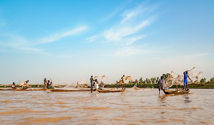 Nigerian fishermen on boats catching fish with nets. 