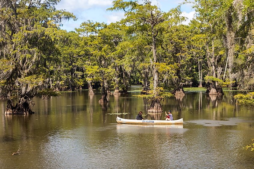People kayaking in Caddo Lake, Texas.