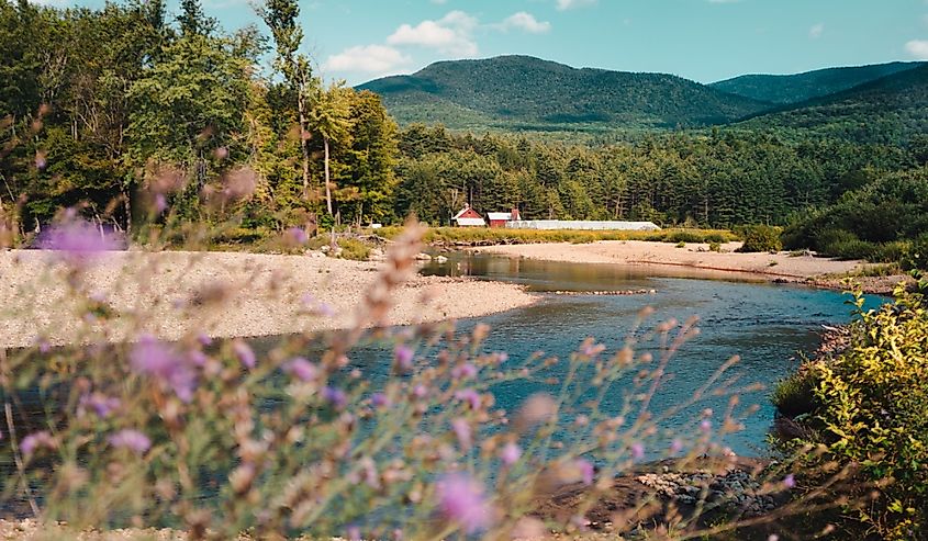 River and flowers blooming in Keene, New York