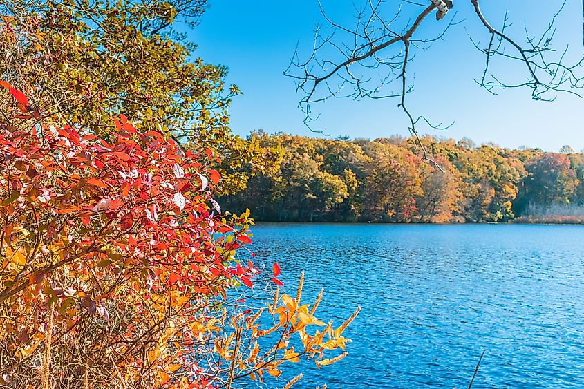 A gorgeous Killens Pond in Delaware