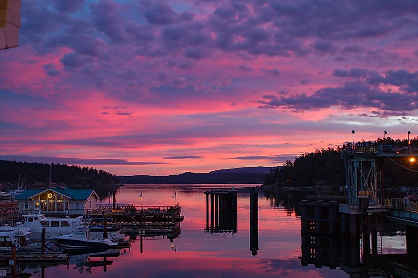 Early morning sunrise Friday Harbor, WA USA.