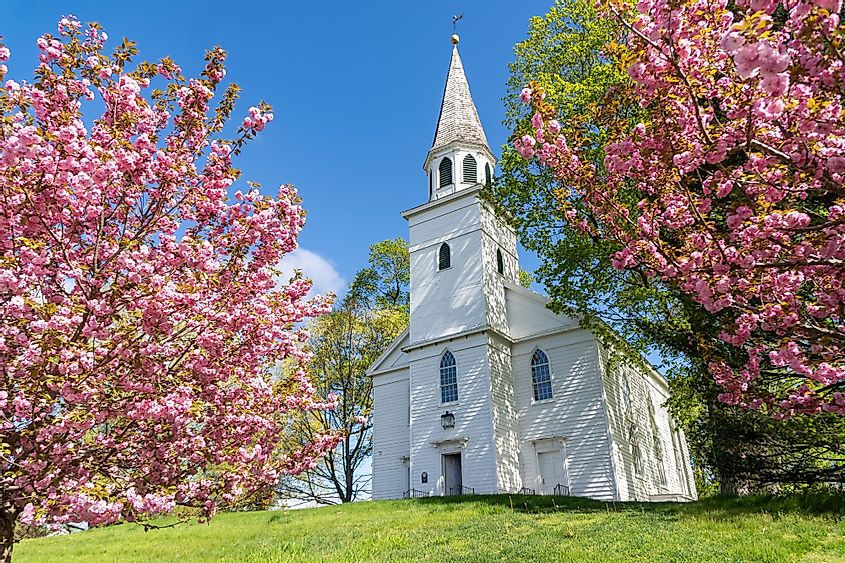 Landscape view of the historic Old School Baptist Meeting House flanked by flowering trees located in the center of the village of Warwick