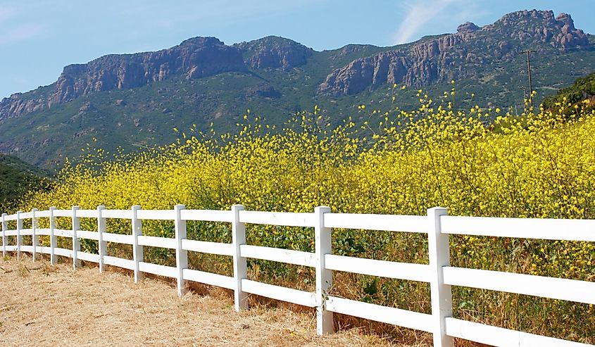 Yerba Buena Road, Santa Monica Mountains National Recreation Area, California.