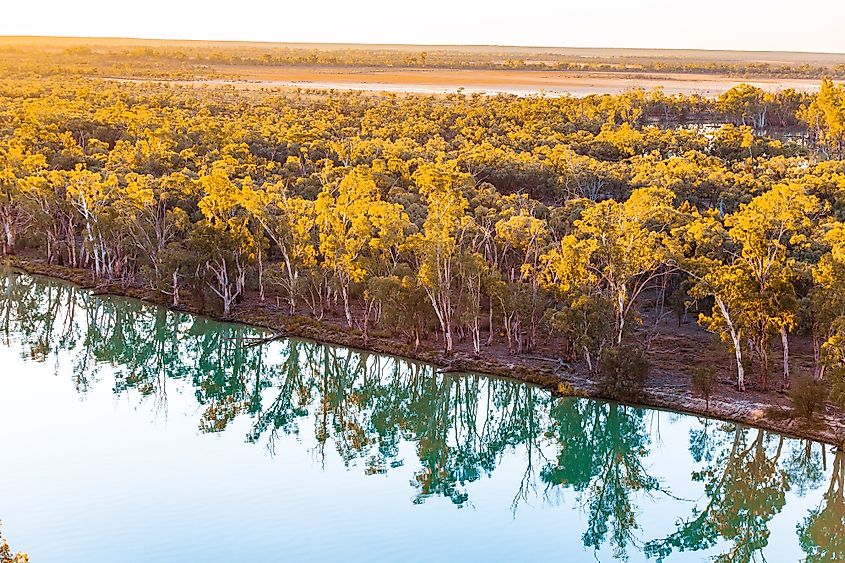 Murray River