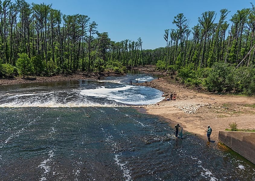 Lake Bistineau