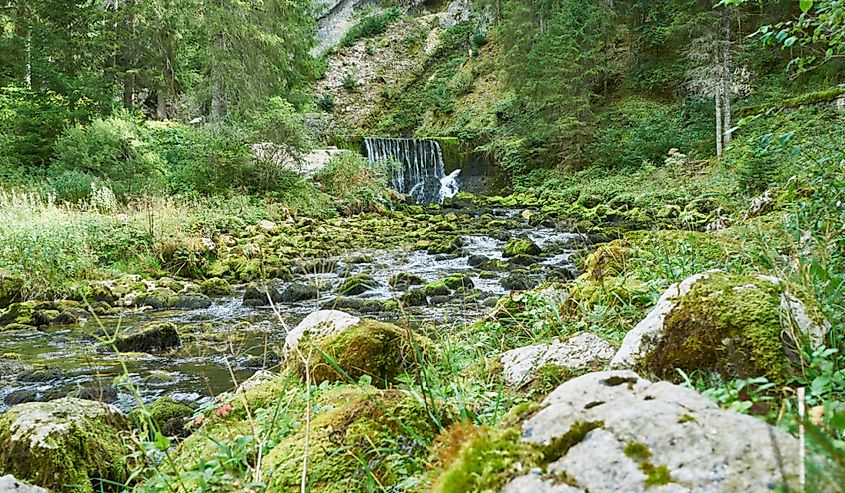 Waterfall at Source du Doubs Mouthe, Franche Comté France with green plants on a sunny day