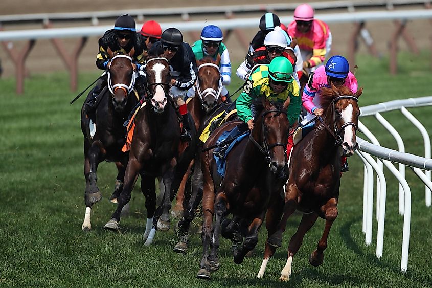 Jockey Joel Rosario aboard Craving Carats leads in the clubhouse turn at Saratoga Springs, New York.