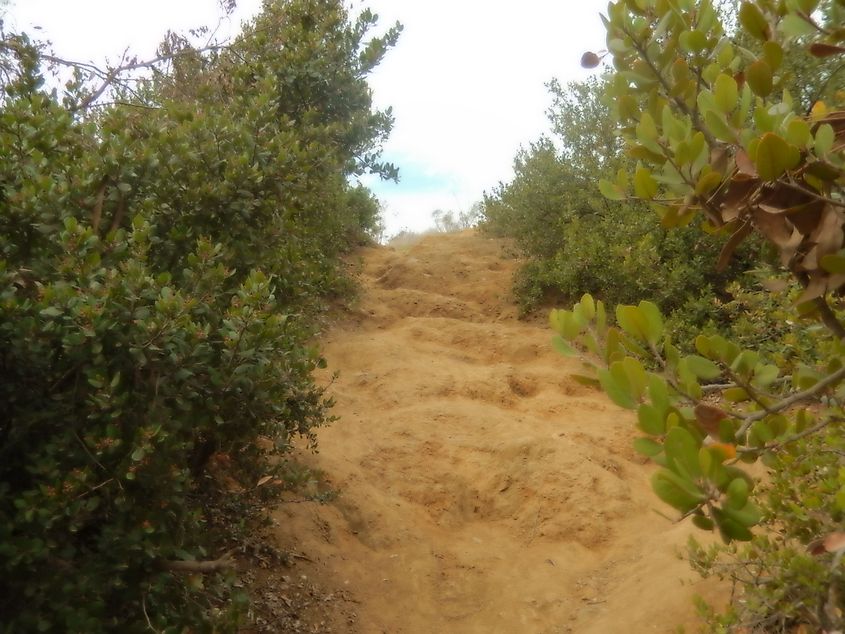 Hiking trail in Griffith Park in Los Angeles, CA