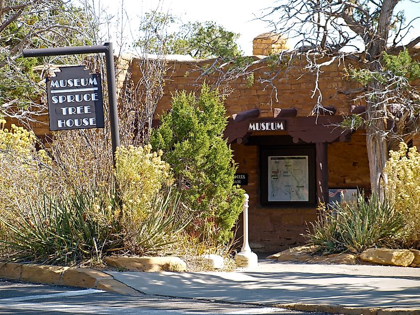 Entrance to the museum of the Spruce Tree House.
