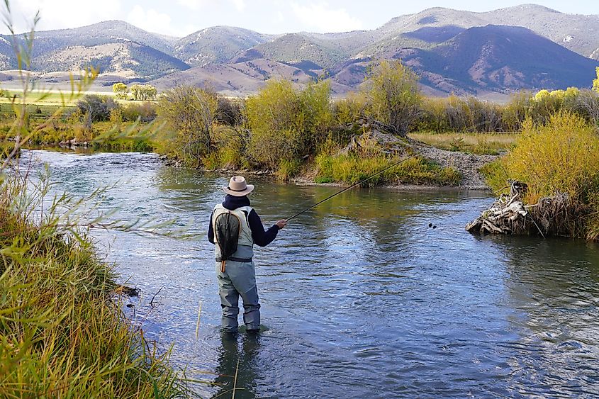 Fly fisherman on the Ruby river, Montana