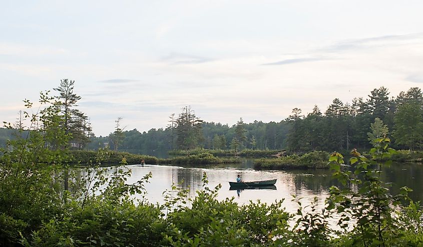 A man canoes alone on Tully Lake during the summer surrounded by forest.