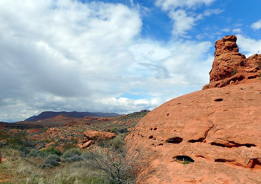 Rock formations in Red Cliffs Desert Reserve, Utah.