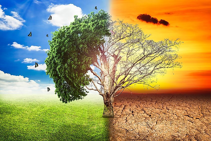 Image credit: Zyn Chakrapong/Shutterstock.com
