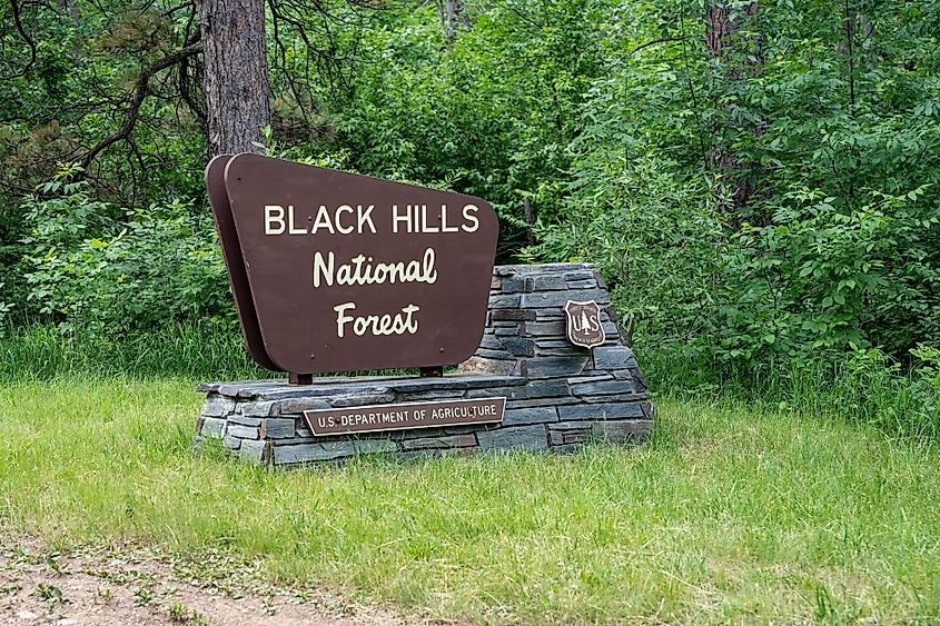 Black Hills