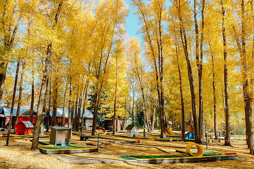 Lake City, Colorado mini golf course in the fall. Aspen leaves at a mini golf course made for a beautiful setup. Leaves dusting the greens as the end of summer becomes more official.