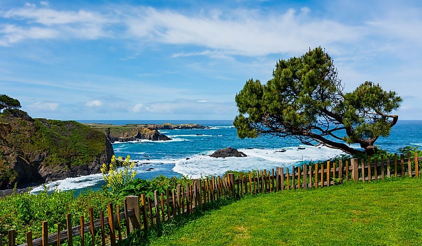 California Coast in Mendocino