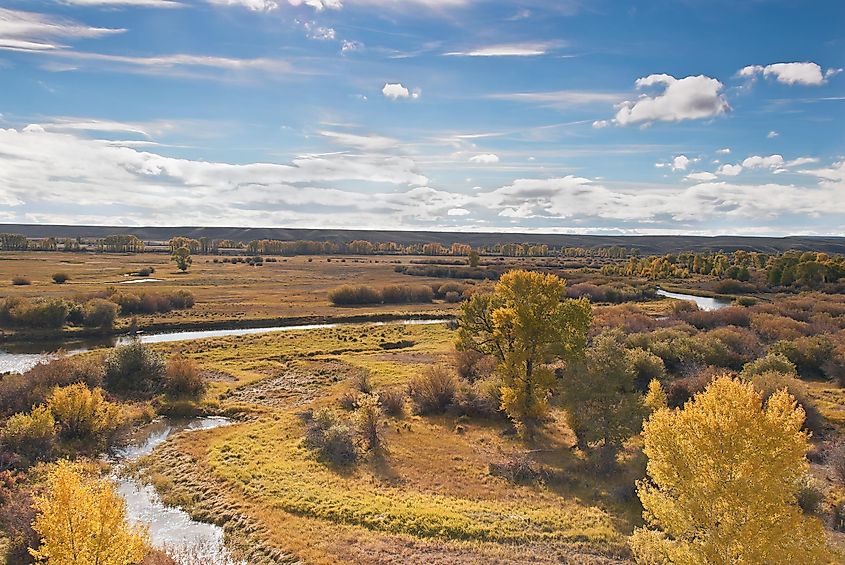 Late evening and Fall colors on the foliage decorate the New Fork River near Pinedale Wyoming