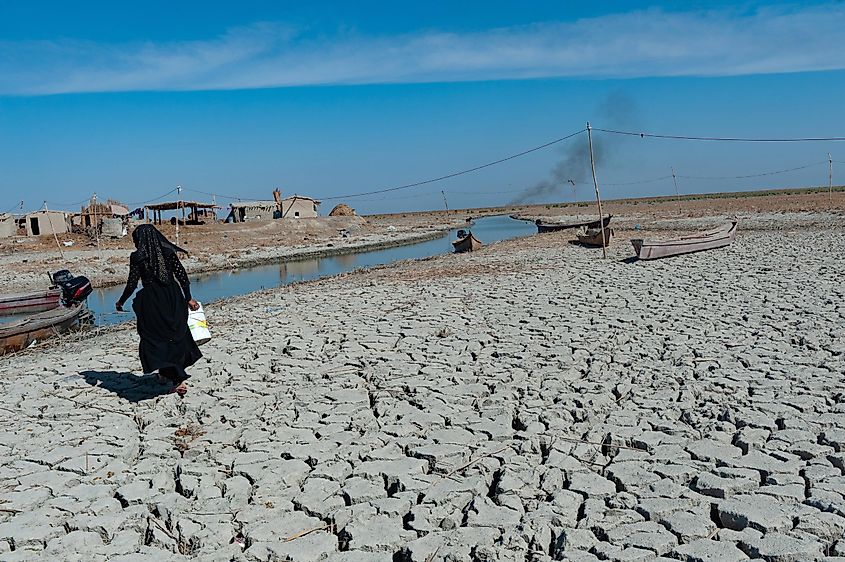 A Marsh Arab woman collecting water in the parched wetlands of the Central Marshes of southern Iraq