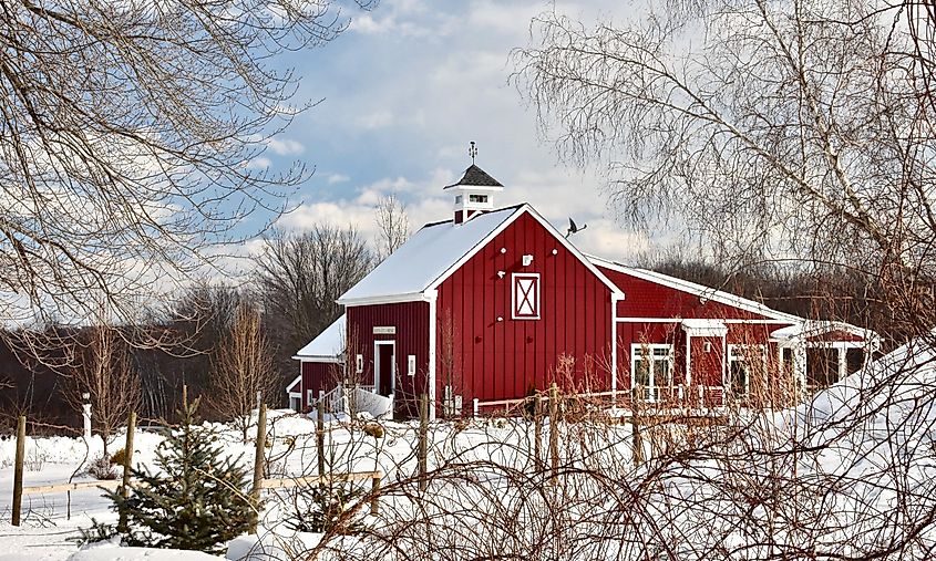 Broken Creek Vineyard in Shrewsbury, Massachusetts.