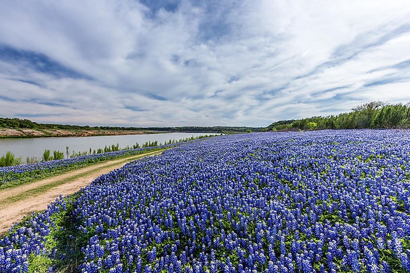 The picturesque  Muleshoe Bend Recreation Area.