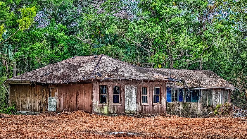 Seminole hut