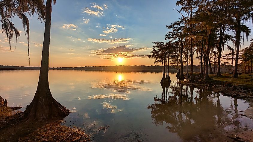 The cypress trees and Lake Jackson at sunset from Florala State Park in Florala, Alabama.
