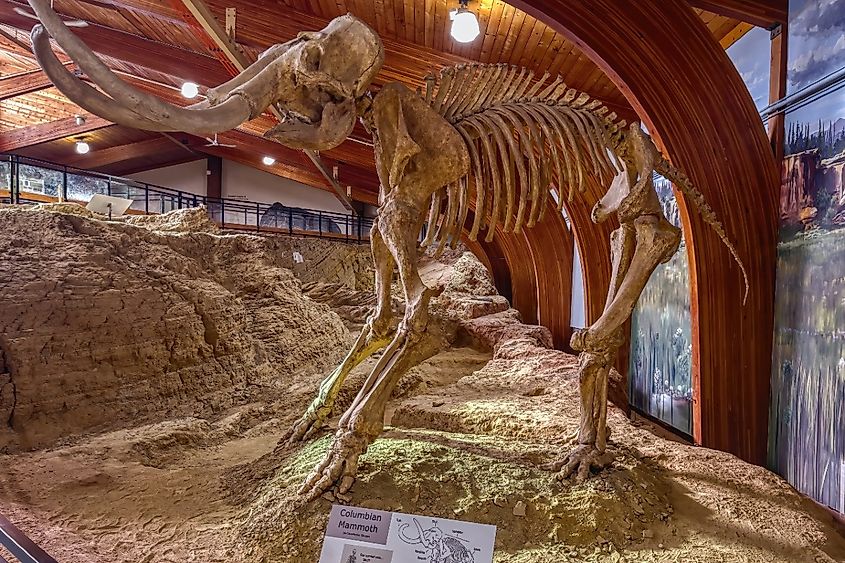 Mammoth Fossil Dig Site, Hot Springs, South Dakota. Image credit Jacob Boomsma via Shutterstock