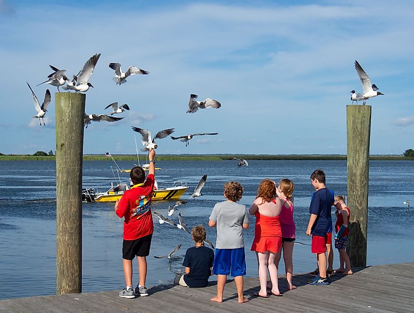 A group of children feeding the birds on the Apalachicola River dock in Apalachicola, Florida.