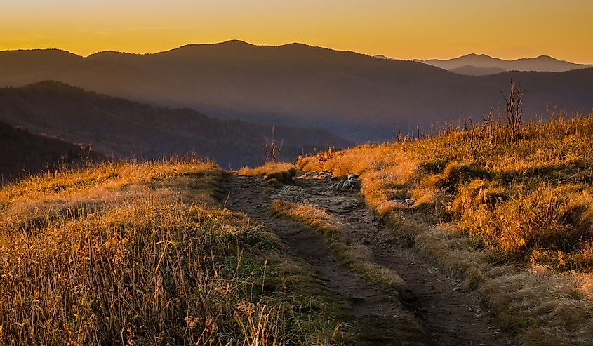 View of a trail that passes through the Blue Ridge Mountains at sunset in North Carolina.