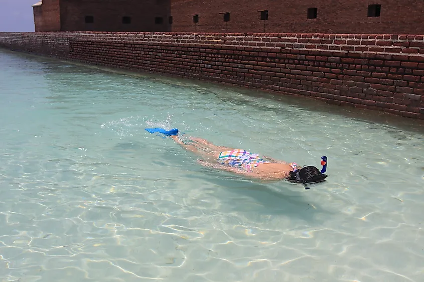 A woman snorkeling at Dry Tortugas National Park, Florida.