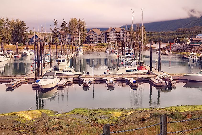 Tofino