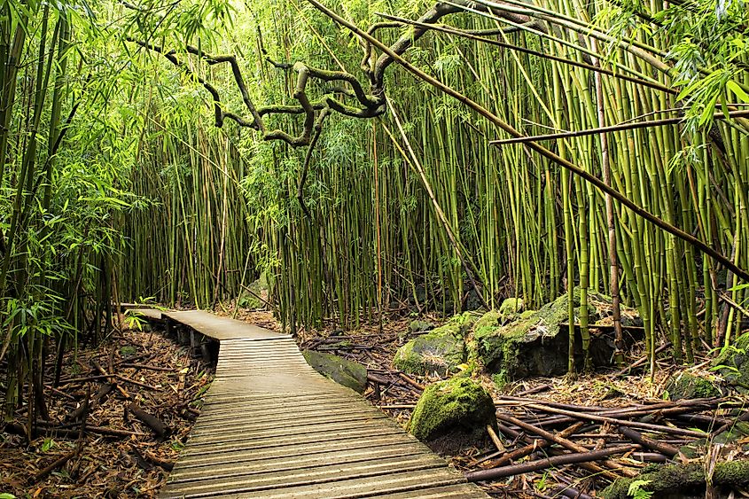 Haleakala National Park