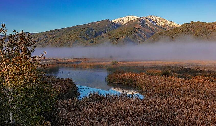 Wetlands at the Lee Metcalf National Wildlife Refuge near Stevensville, Montana