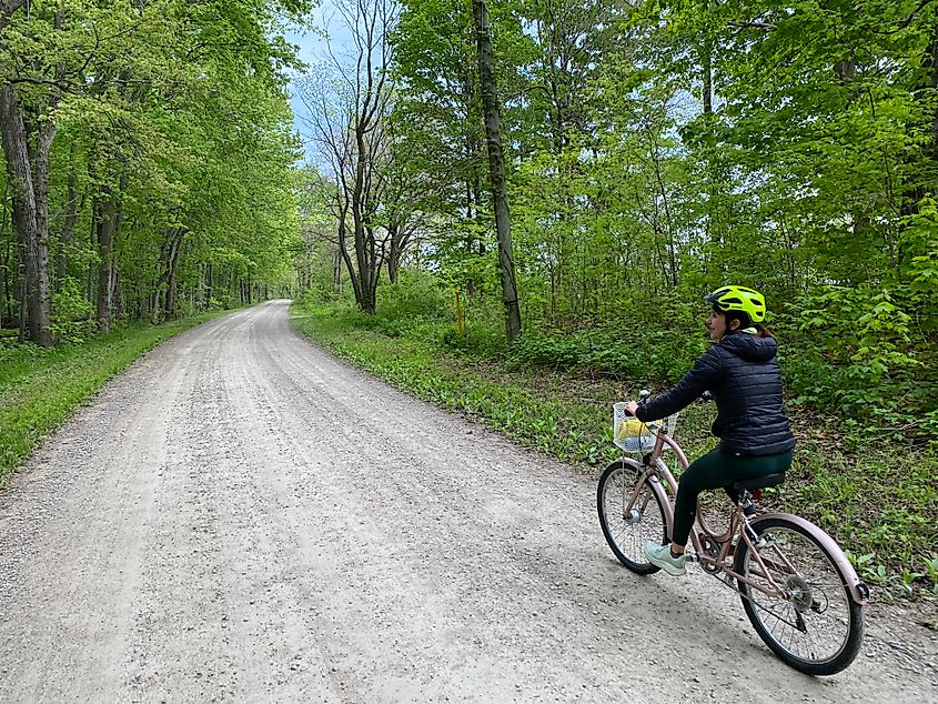 A woman rides a cruiser bike through the woods on a gravel road.