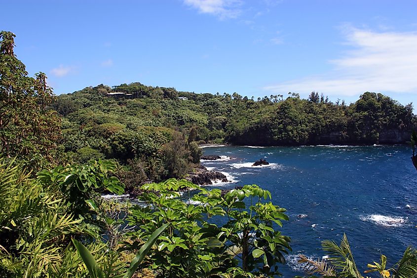 View of the coast near Papaikou in Hawaii.