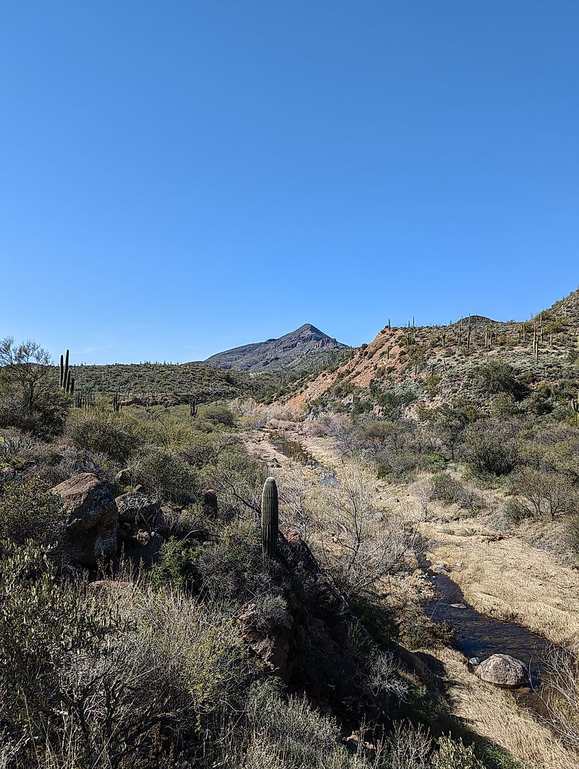 Cave Creek, AZ, USA.