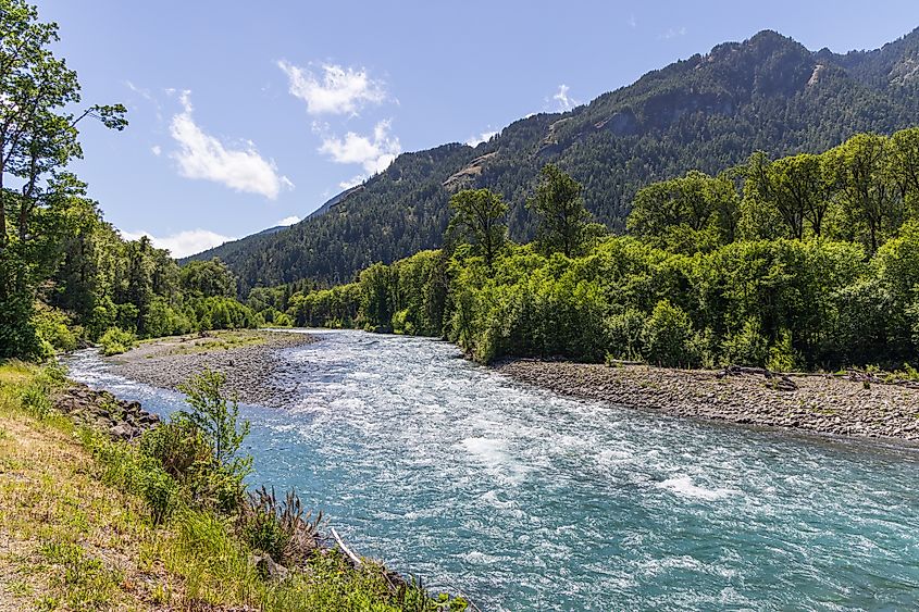 Elwha River Olympic National Park Washington State