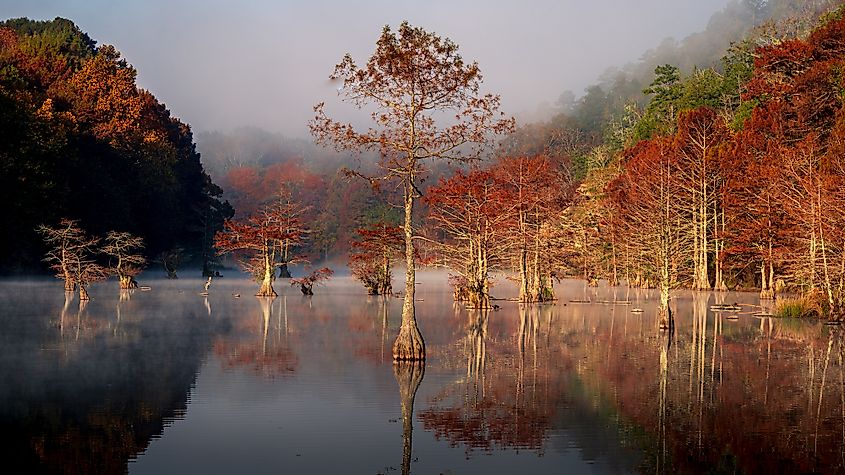 Fall colors at the Beavers Bend State Park.