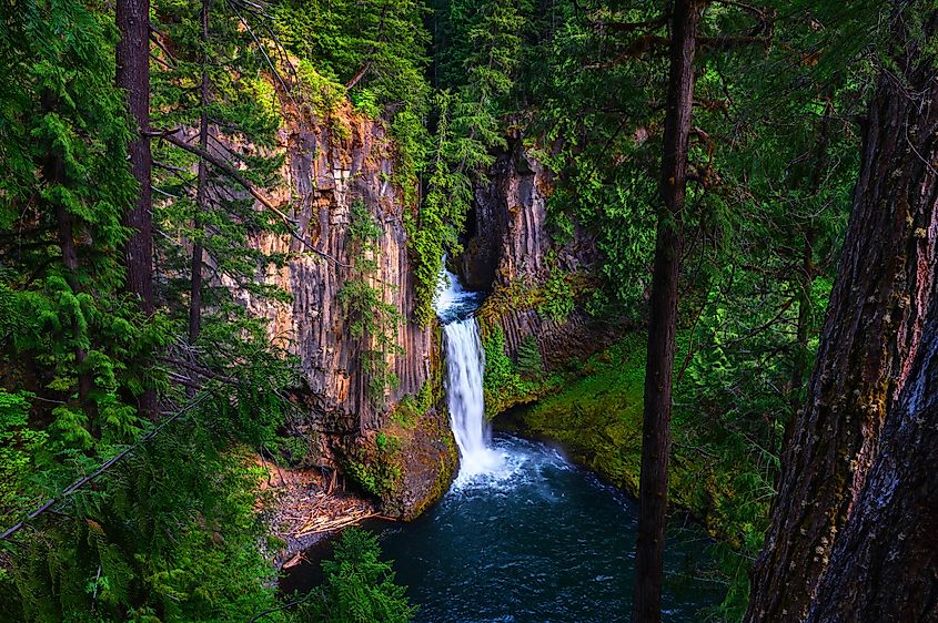 Toketee Falls on the North Umpqua River located in Douglas County, Oregon.