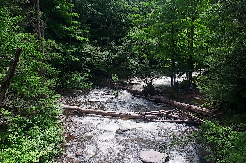 Spruce Creek in Haines Falls, New York.