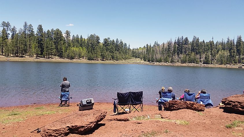 People fishing by the lakeside in Pinetop-Lakeside, Arizona