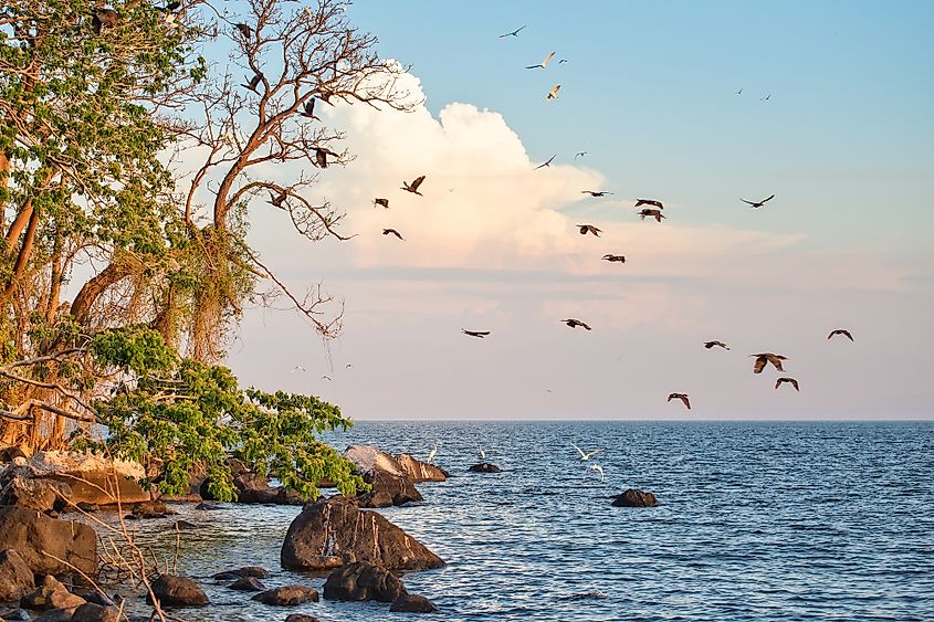 Lake Nicaragua