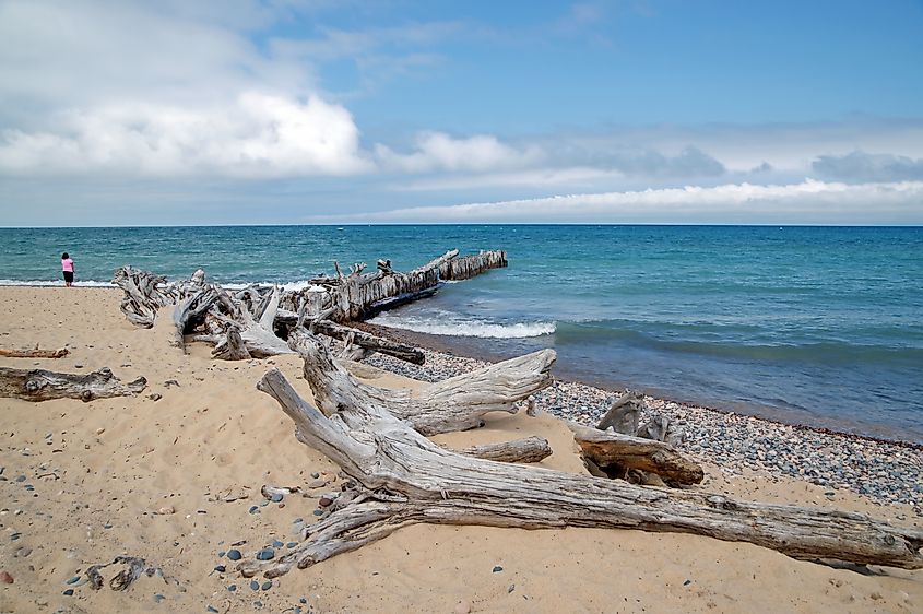 View of driftwood strewn beach in Whitefish Point, Chippewa County, Michigan.