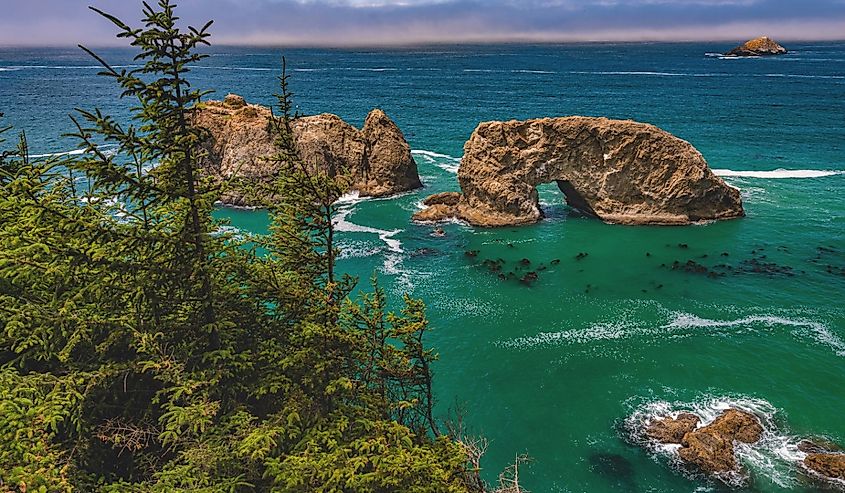 Arch Rock, a unique sea stack in the Samuel H. Boardman State Scenic Corridor near Brookings in southern Oregon, United States.