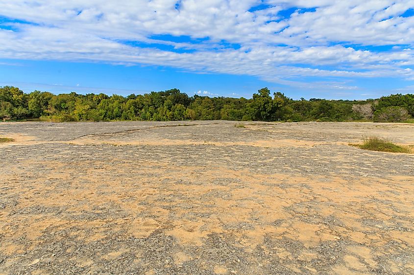 Volcanic Limestone Rock in McKinney Falls State Park