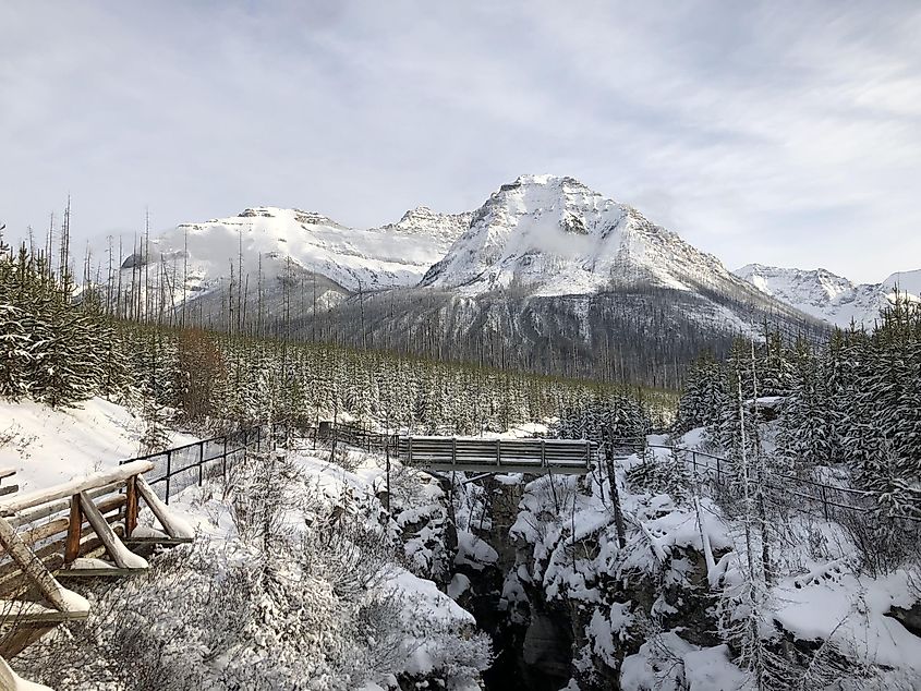 Marble Canyon trail